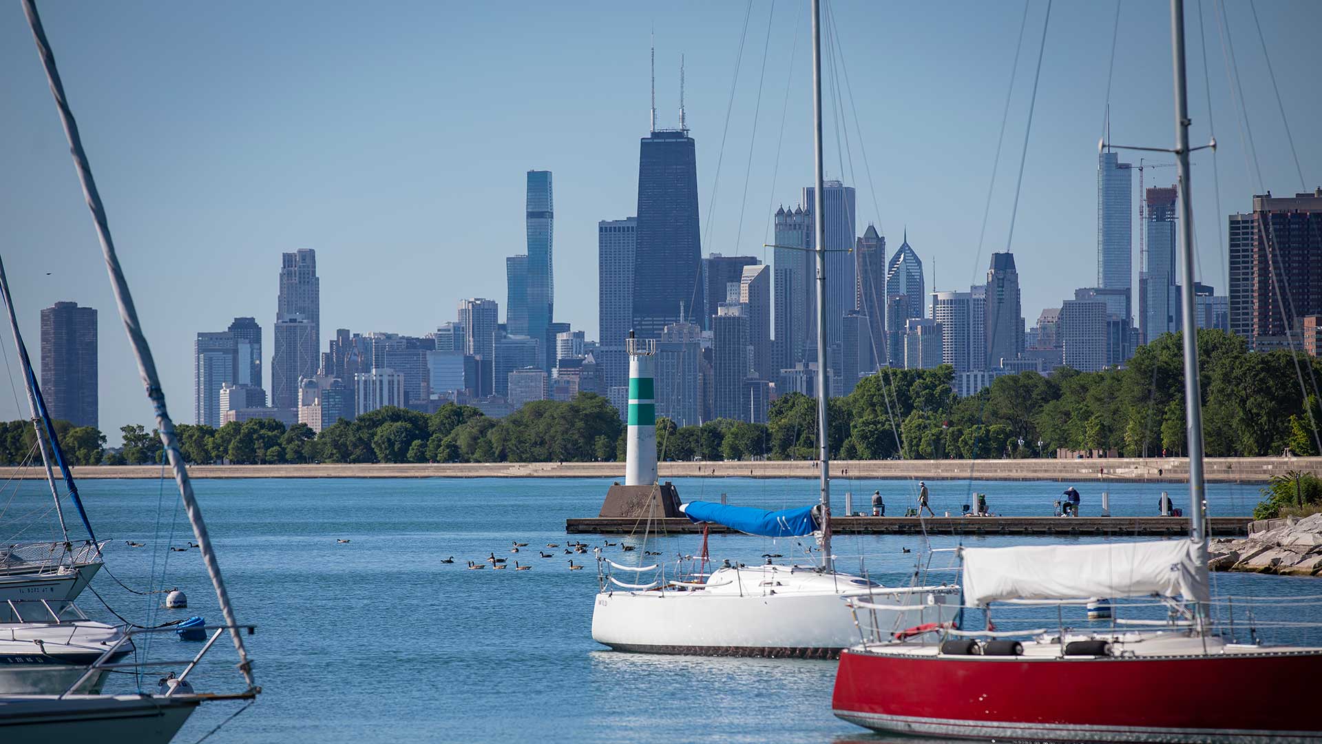Several sailboats are floating on Lake Michigan in the foreground. The Chicago skyline is seen in the background, on the horizon.
